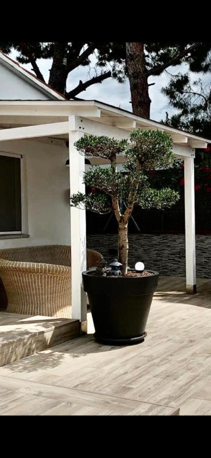 Lovely House Near The Beach Calafell Exteriör bild